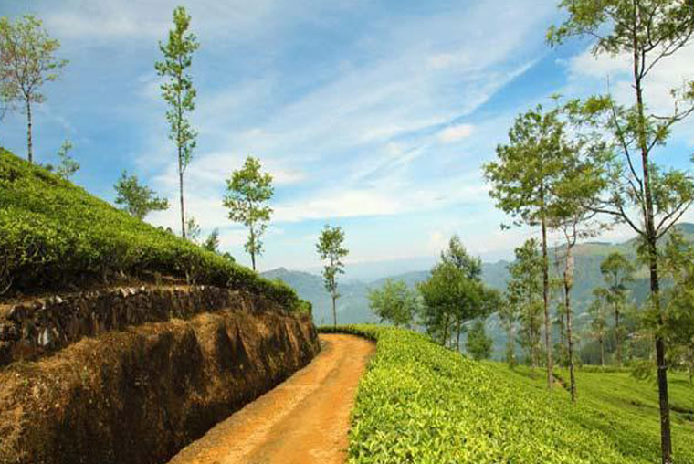 Kerala Tourism Packages, Kerala Tour Packages, Kerala Tourism, Tourist Places Kerala , kerala tour packages, kerala tour packages from siliguri, kerala tour packages for family, kerala tour packages with price, kerala tourism ayurveda packages, kerala tour packages b2b, kerala tour packages budget, kerala tour packages couple, kerala tour packages cost, kerala tour packages cheap, kerala tour packages honeymoon, kerala tour packages low price, kerala tour packages luxury, kerala tour packages ltc, kerala tour packages list, kerala tour packages lowest price, kerala tourism packages lakshadweep, kerala tourism ltc packages, price of kerala tour packages